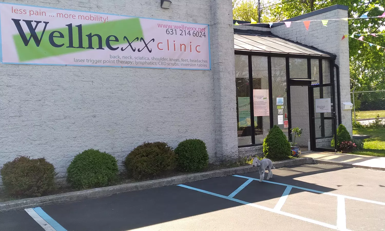 Up to 44% Off on Swedish Massage at Wellnexx Clinic & Spa