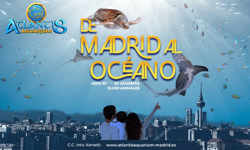 Image 1: ¡Descubre la magia del océano en Atlantis Aquarium Madrid!