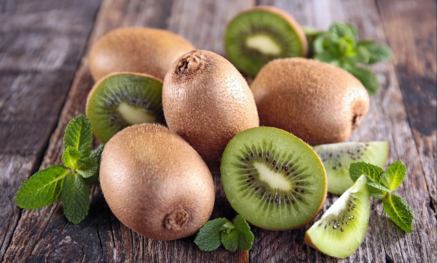 Image 2: 3 winterharde kiwi-planten