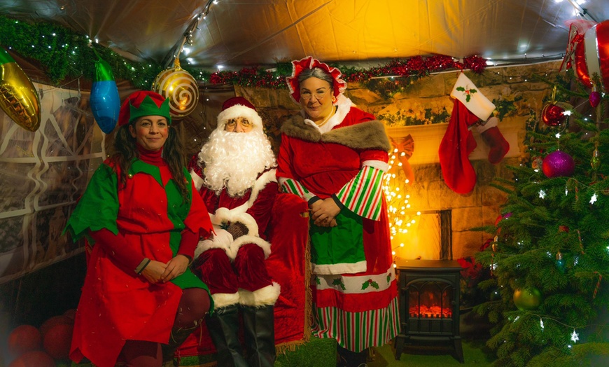 Image 17: 2-Hour Piggy Pet & Play Experience for a Child, Adult, or Family of 4