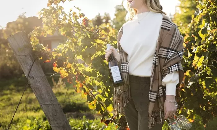 Wine and Cheese Tasting for Two, Four, or Six at Diamond Estates - The Wine Store (Up to 61% Off)  - Primary Image