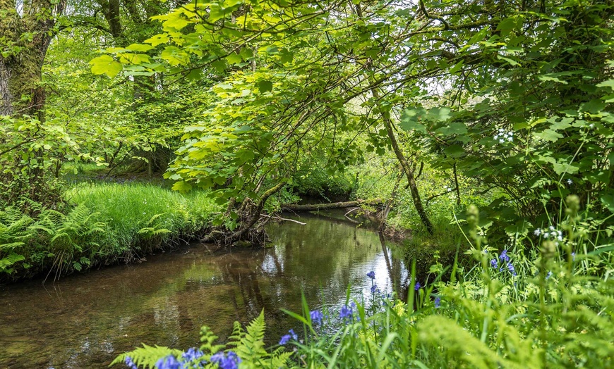 Image 9: Pembrokeshire: Up to Five-Night Cottage Stay