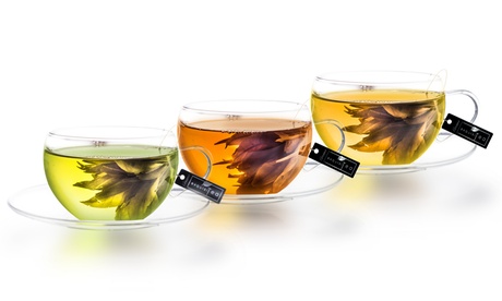 Fino a 72 bustine di tè ExquisiTea Creano disponibili in vari set a scelta e 3 gusti