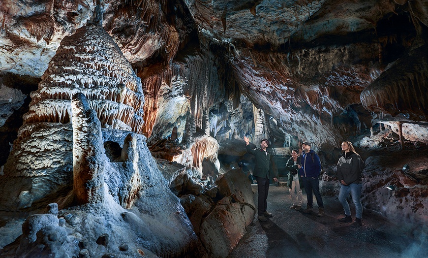 Image 15: Billet PassHan avec accès aux Grottes de Han et au Parc Animalier