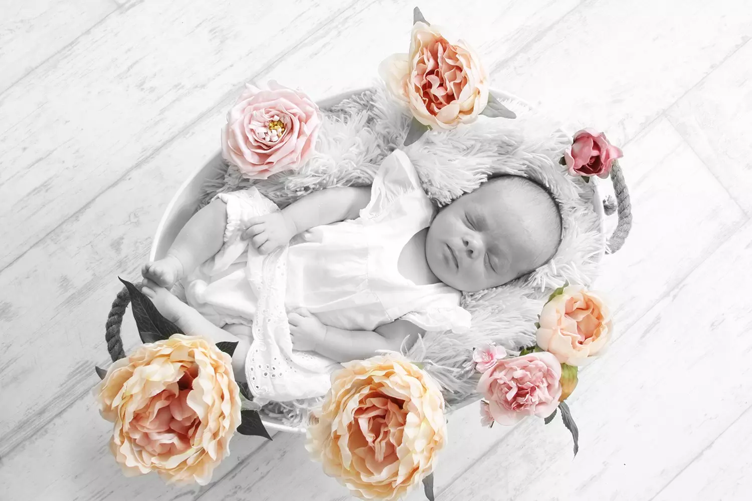 Choice of Baby Photography Package