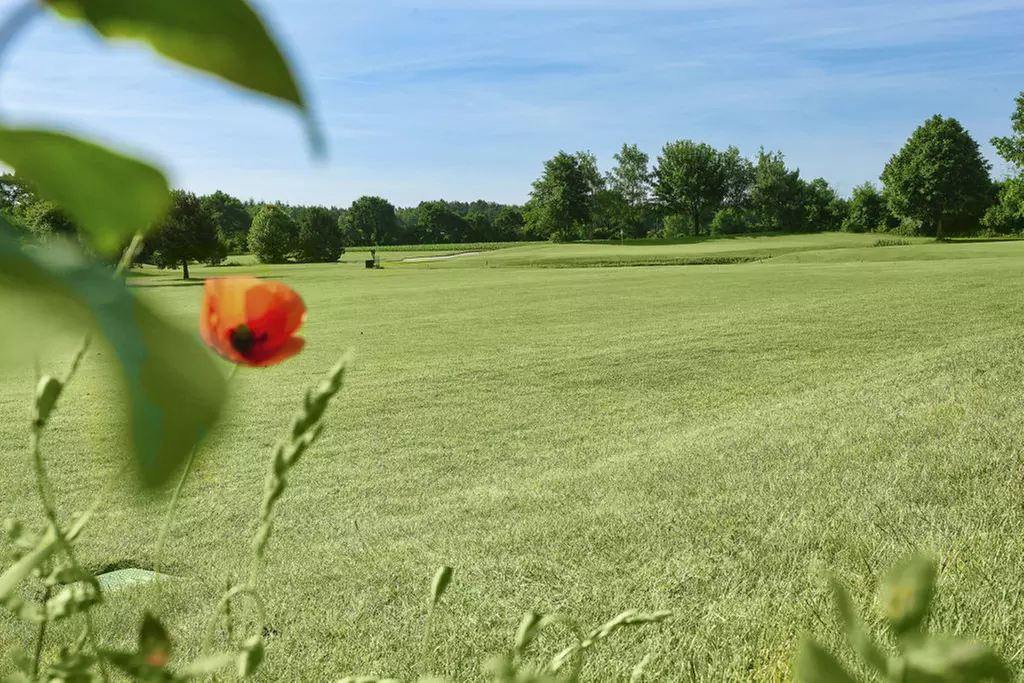Mit dem Crashkurs Golf kennelernen bei Golf Club Verden