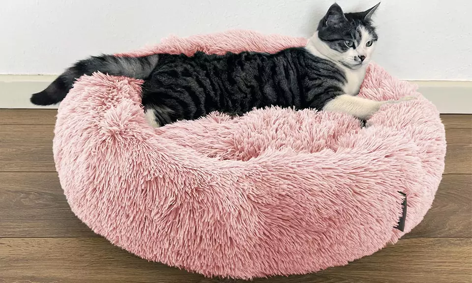 Cuccia extra-soffice per gatti e cani