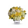 Image 14: Beautiful Easter Collection from Blooms Today with Same Day Delivery