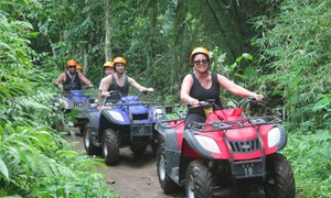 Bali: Quad Bike Ride