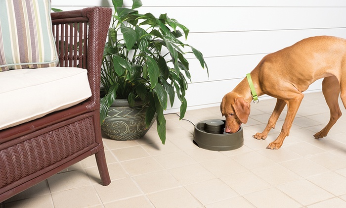 Up To 30% Off On PetSafe Drinkwell Fountain | Groupon Goods