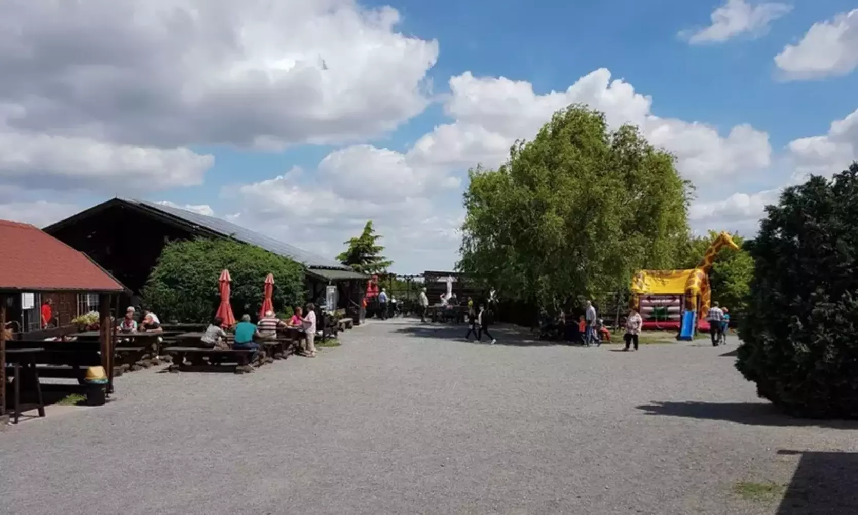 Rodelspaß pur: 5 oder 6 Rodelfahrten, opt. mit 2 Std. Minigolf