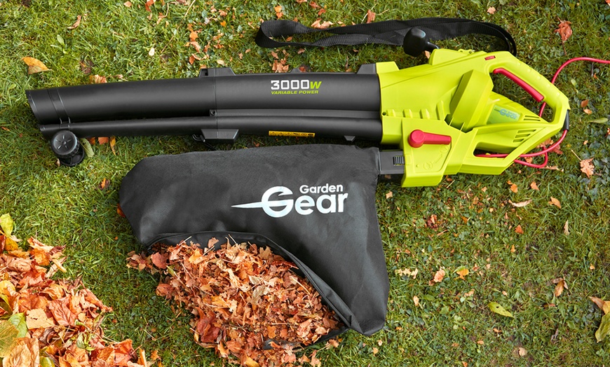 Image 1: Three-in-One Leaf Blower