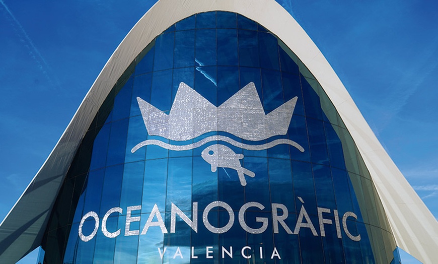 Image 12: Entrada de 1 día al Oceanogràfic, Museo Príncipe Felipe y/o Hemisfèric