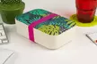 Lunch box en bambou Cambridge - Second Medium