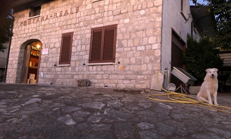 Visita cantina e vigneti, più degustazione di 4 vini, all'Azienda Agricola Fontana Reale (sconto fino a 58%)