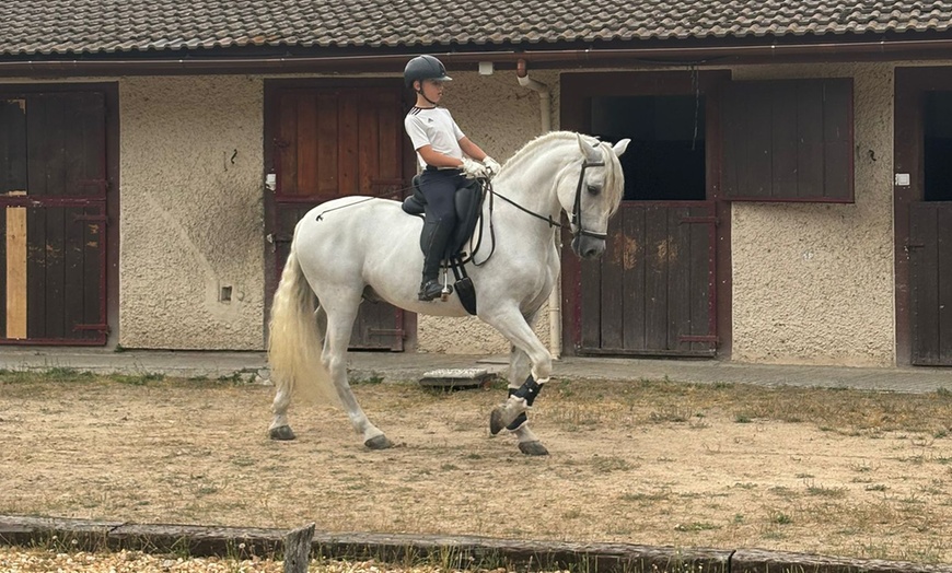 Image 9: Ruta a caballo con comida en plena naturaleza