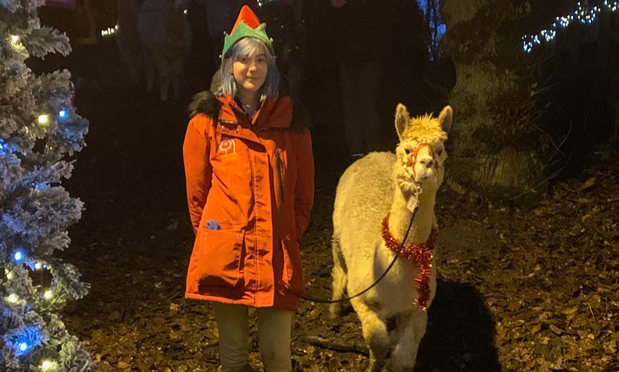 Image 2: Christmas Party and Alpaca Walk: Adult ($17), Child ($23)