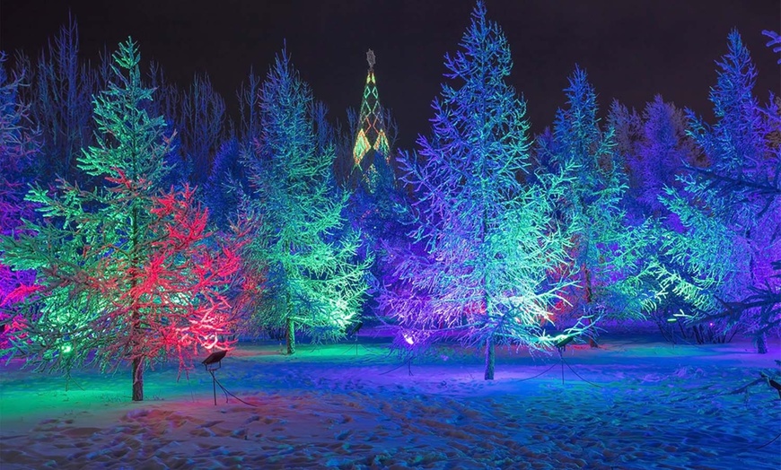 Winter City Lights in - Olney, MD | Groupon