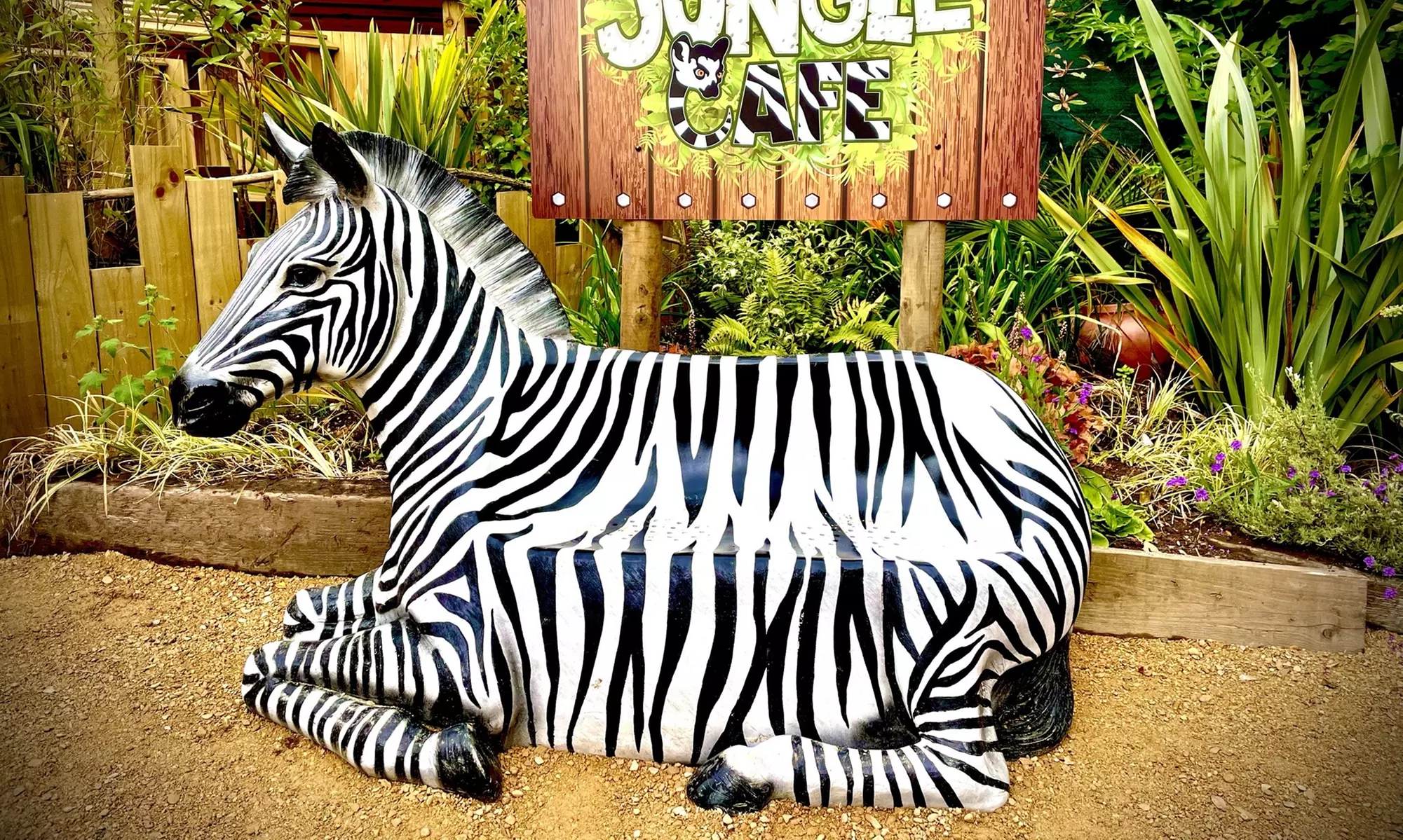 Embark on a Wild Adventure at Up to 58% Off at Exotic Zoo!