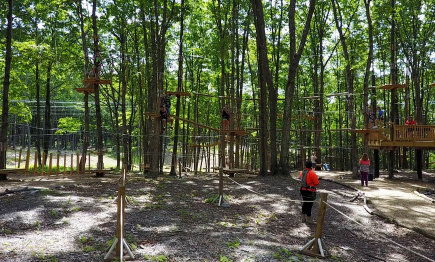 Gorilla Grove Treetop Adventures in - Pocono Summit, PA | Groupon