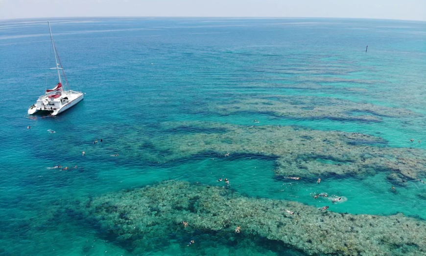 Image 3: Discover Underwater Wonders: Snorkeling Adventure or Dolphin Watch!