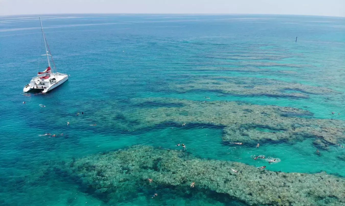 Discover Underwater Wonders: Morning and Afternoon Snorkel Await!
