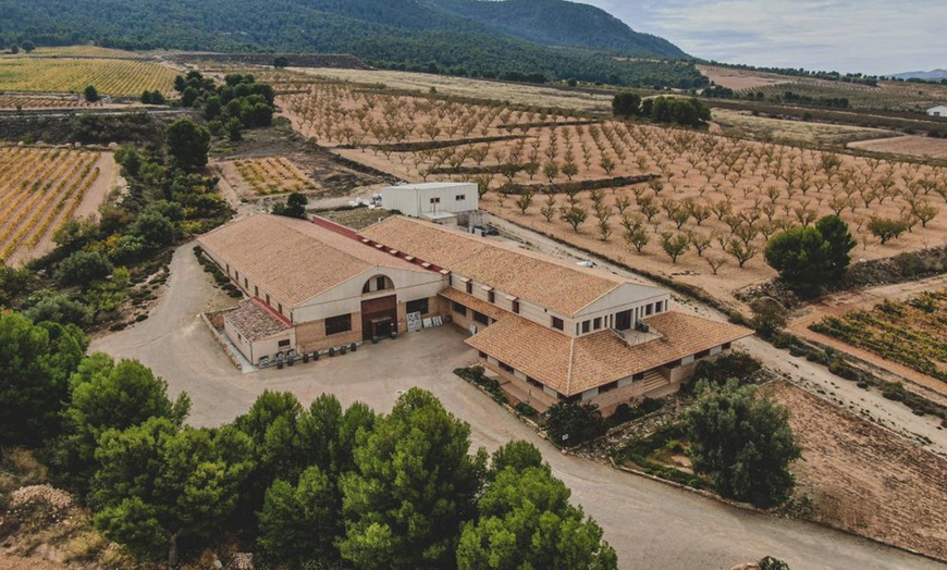 Image 2: Ruta en bicicleta entre viñedos por la zona de Jumilla para 2 o 4