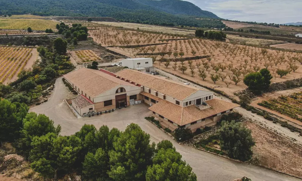 Ruta en bicicleta entre viñedos por la zona de Jumilla para 2 o 4