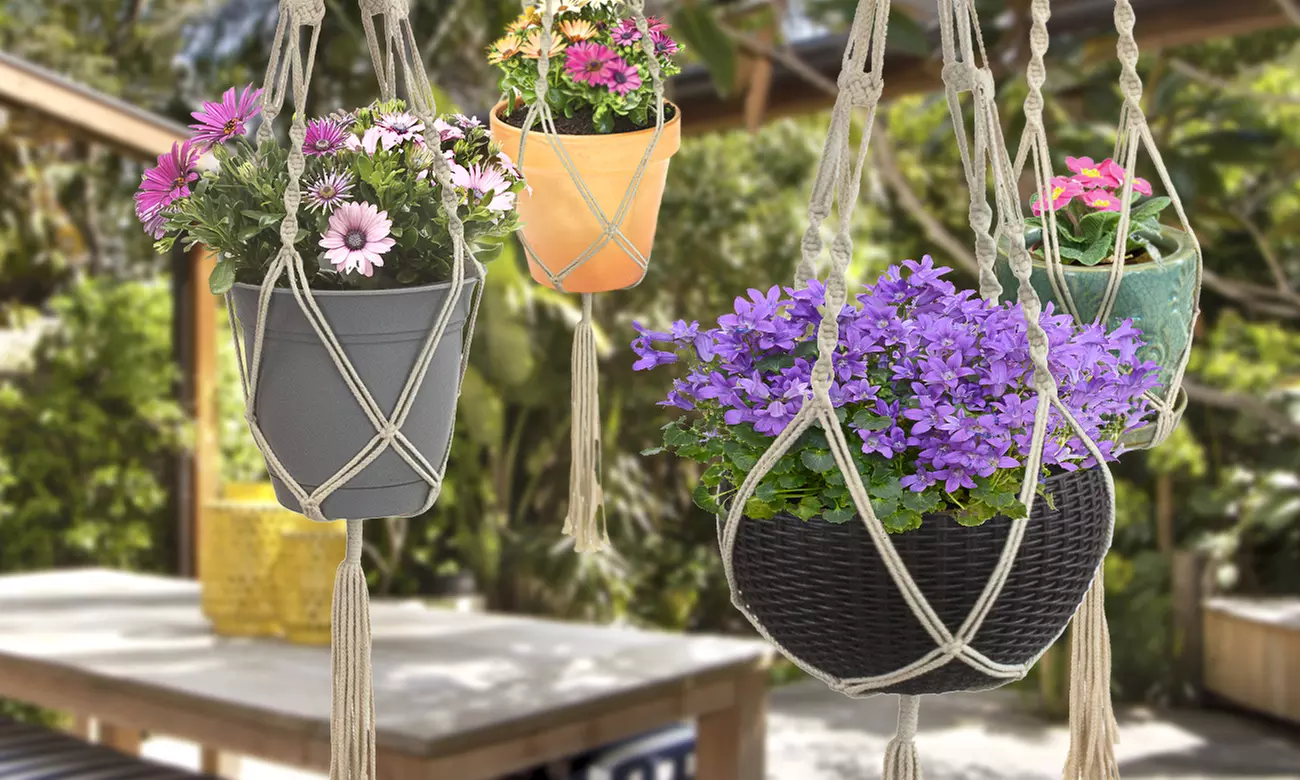 Sorbus Cotton Plant Hanger Set (4-Piece) - Primary Image