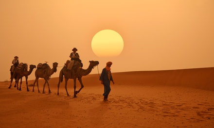 Maroc : choix d'excursions d'1 demi-journée à 3 jours, pour 1 personne...