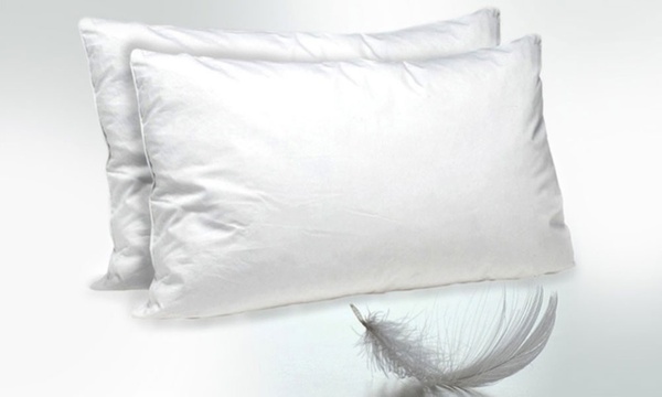 Groupon pillows outlet