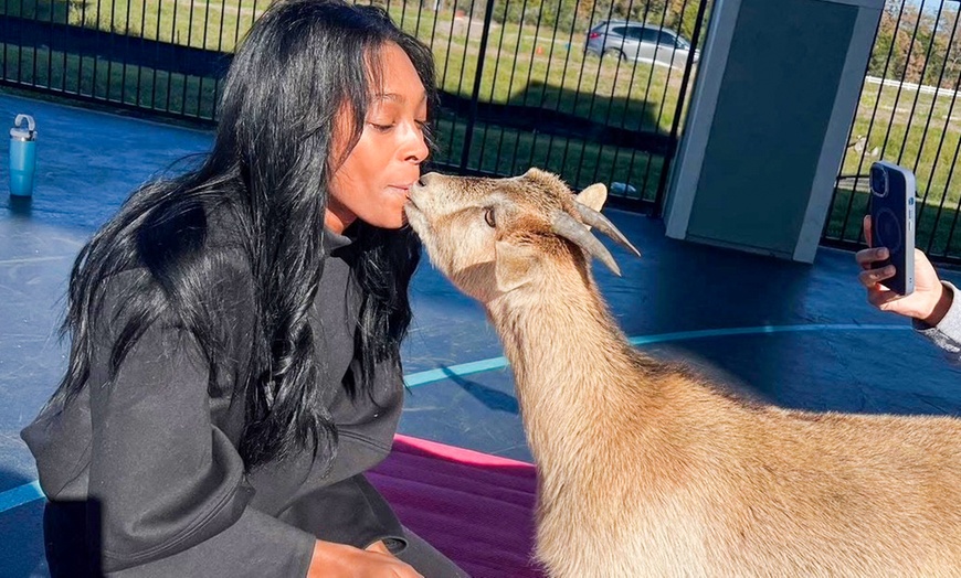 Image 6: 1 Public Session of Goat Yoga or 1-Hour Private Event-Up to 30 People