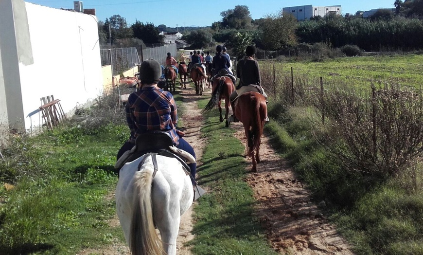 Image 6: Ruta a caballo para 2 o 4 personas en La Suara