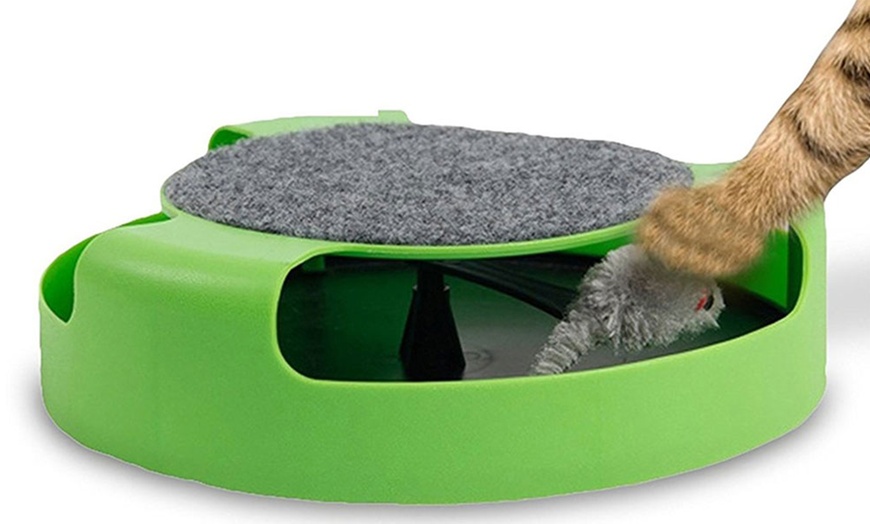 Image 6: Cat-Care Accessories 