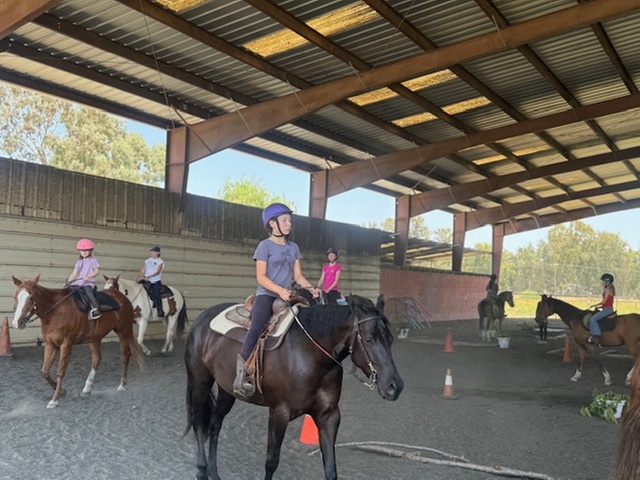 1,2 3, or 4 Horseback Riding Lessons for One Hour Each Sessions