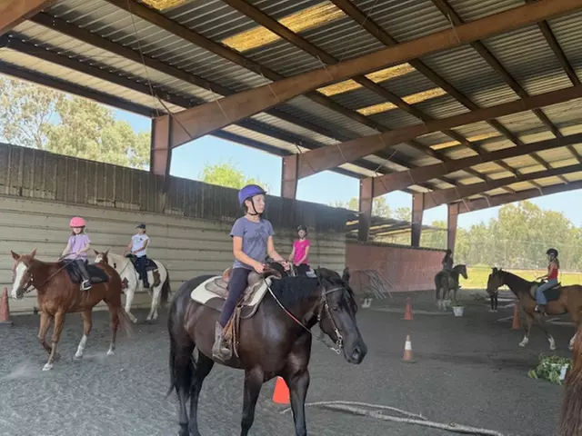 Enjoy 1,2 3, or 4 Horseback Riding Lessons for One Hour Each Sessions - Up to 41% Off at Pipe Dreams Farm