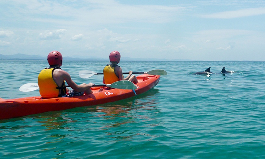 3-Hour Dolphin Kayaking Tour - Cape Byron Kayaks | Groupon