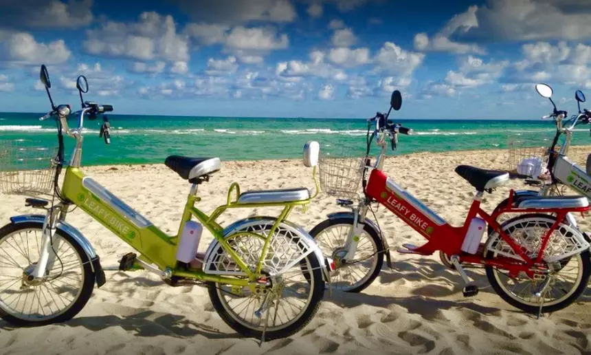 Three- or Six-Hour 20-Inch or 22-Inch Leafy E-Bike Rental from Sobe Miami Tours (Up to 65% Off) - Primary Image