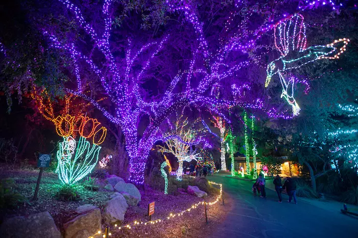 Admission to ZooLights at the Phoenix Zoo (Up to 14% Off) - Primary Image