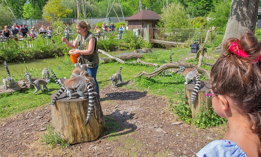 Image 4: Entrée au Zoo Safari de Thoiry