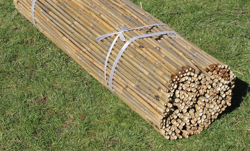 Image 7: Bamboo Cane Screen Roll