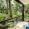 Image 4: 4-Star Beach Resort in Playa del Carmen