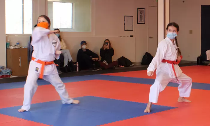 One Month of Karate Classes for One or Two at Northwest School of Karate (Up to 25% Off) - Primary Image