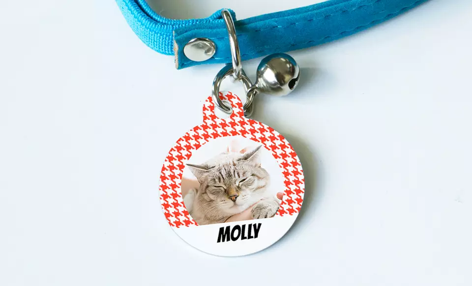 One or Two Personalized Pet Tags from Photobook Canada (Up to 65% Off) - Second Medium