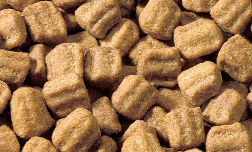 Image 14: Pedigree Dog Pouches and Dry Food