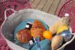 Proche Puy du Fou : 1 ou 2 nuits en bulle avec petit-déjeuner et repas et verre de bienvenue pour 2 à La Belle Etoile - Second Medium