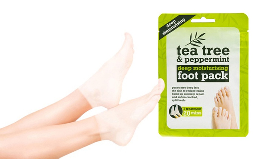 Image 3: Tea Tree Oils or Foot Masks