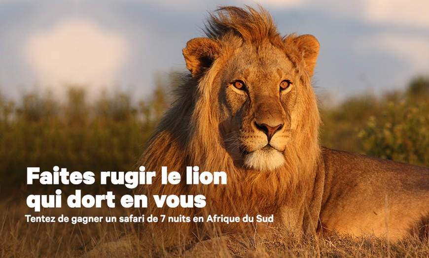 Image 1: Faites rugir le lion qui dort en vous