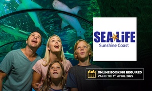 SEA LIFE Sunshine Coast Entry