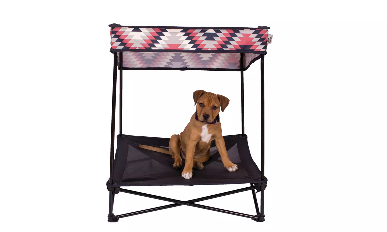 Quik shade outdoor instant pet shade with shops elevated mesh bed